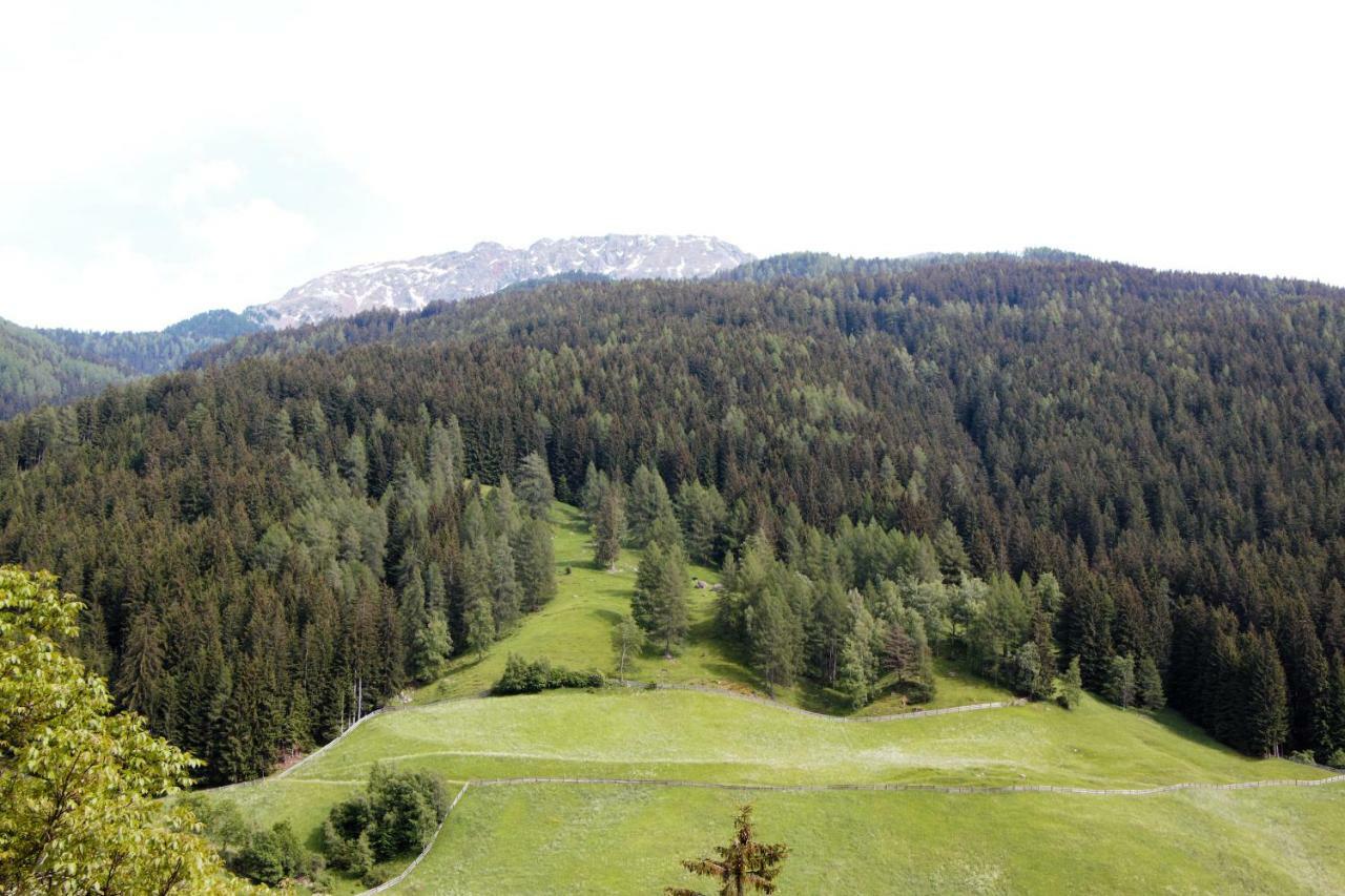 Schweinsteghof Urlaub Auf Dem Bauernhof Daire Sarentino Dış mekan fotoğraf